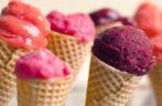 🎉 🍓 CORBEAU SORBETS 🍓